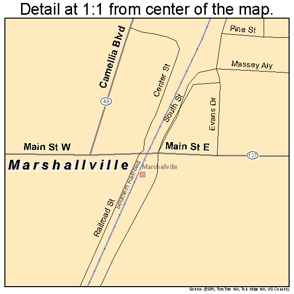 Marshallville, Georgia road map detail