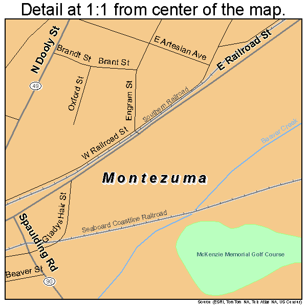 Montezuma, Georgia road map detail