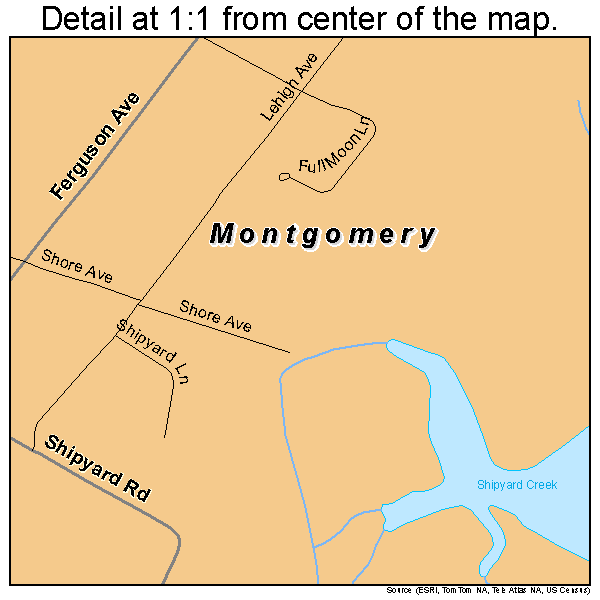 Montgomery, Georgia road map detail