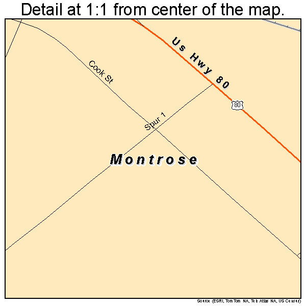 Montrose, Georgia road map detail