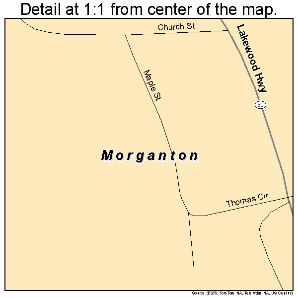 Morganton, Georgia road map detail