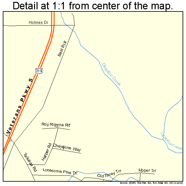 Moultrie, Georgia road map detail