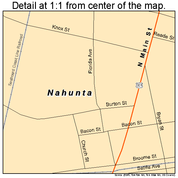 Nahunta, Georgia road map detail