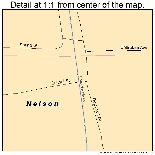 Nelson, Georgia road map detail
