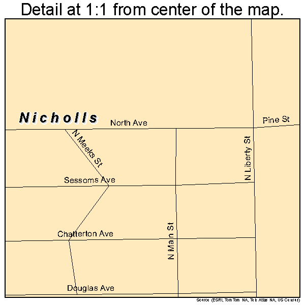 Nicholls, Georgia road map detail