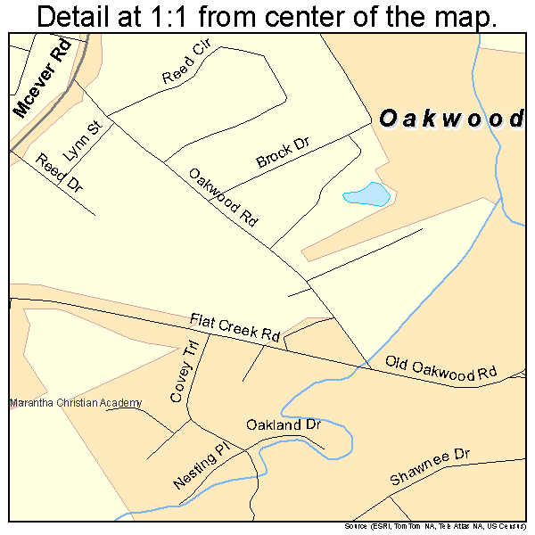 Oakwood, Georgia road map detail