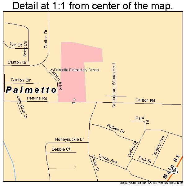 Palmetto, Georgia road map detail