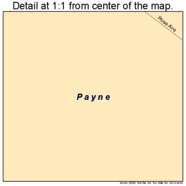 Payne, Georgia road map detail