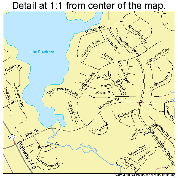 Peachtree City, Georgia road map detail