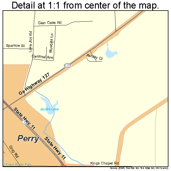 Perry, Georgia road map detail