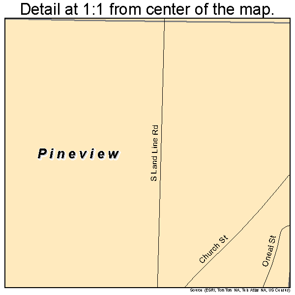 Pineview, Georgia road map detail