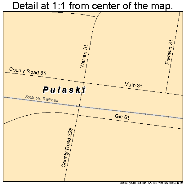 Pulaski, Georgia road map detail