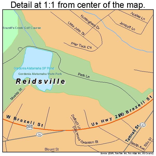 Reidsville, Georgia road map detail
