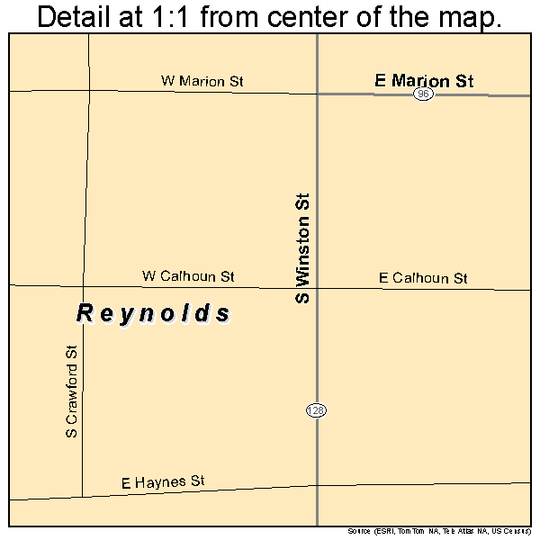 Reynolds, Georgia road map detail