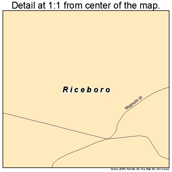 Riceboro, Georgia road map detail