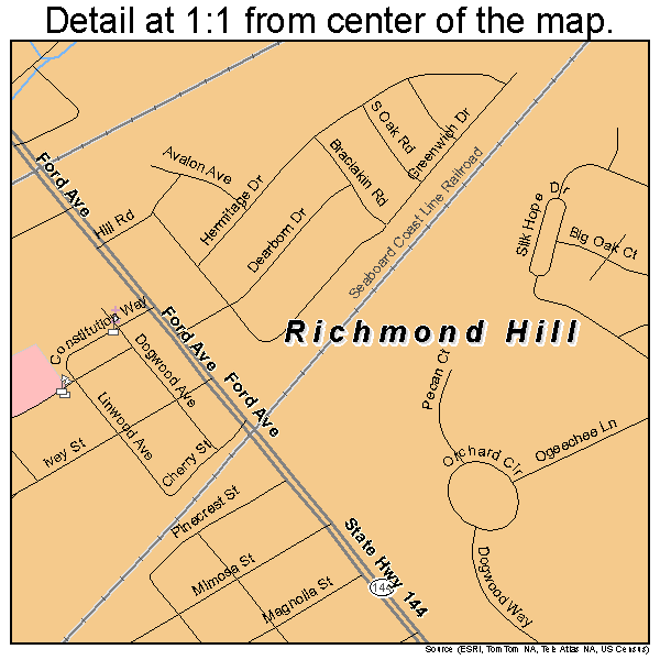 Richmond Hill, Georgia road map detail