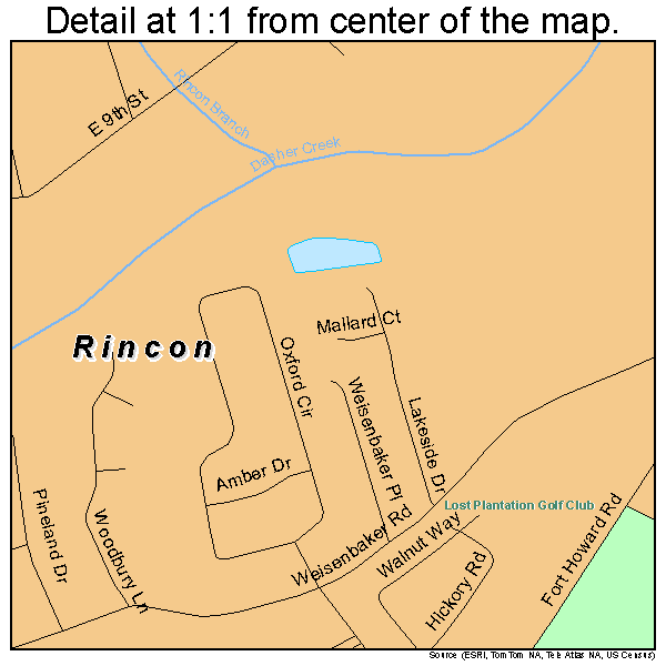 Rincon, Georgia road map detail