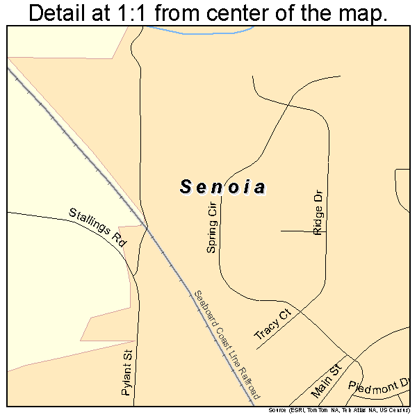 Senoia, Georgia road map detail