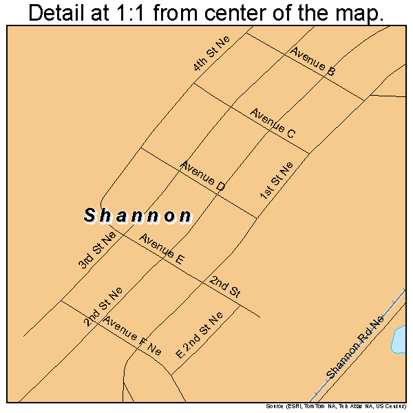 Shannon, Georgia road map detail