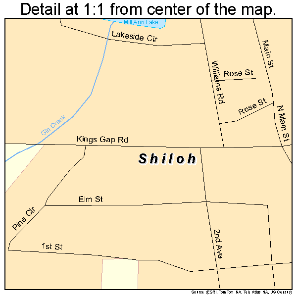 Shiloh, Georgia road map detail