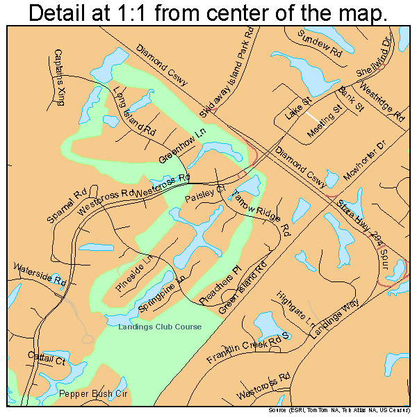 Skidaway Island, Georgia road map detail