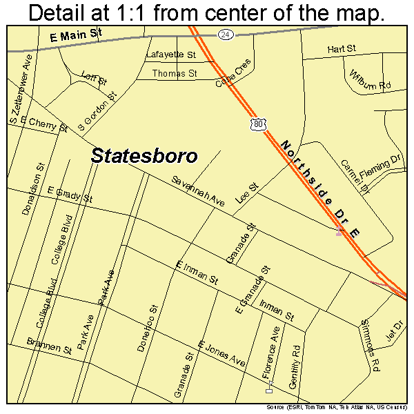 Statesboro, Georgia road map detail