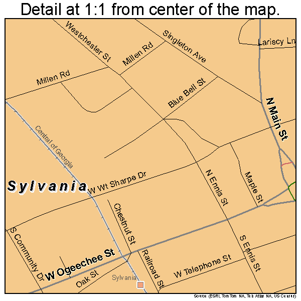 Sylvania, Georgia road map detail