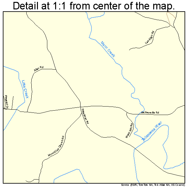 Tallapoosa, Georgia road map detail