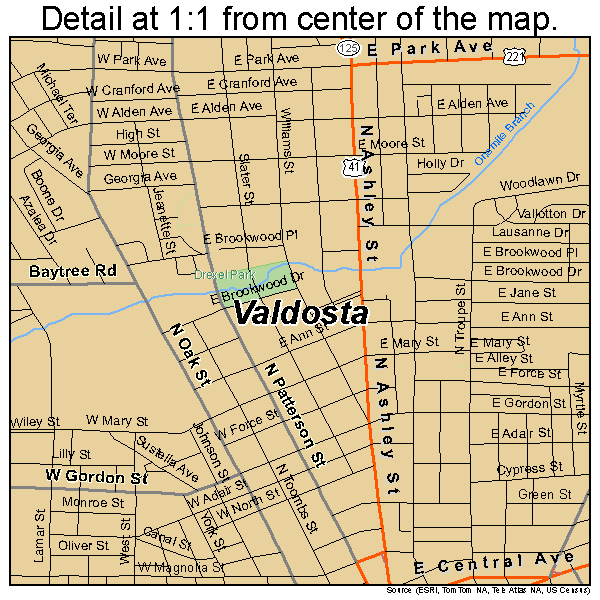 Valdosta, Georgia road map detail