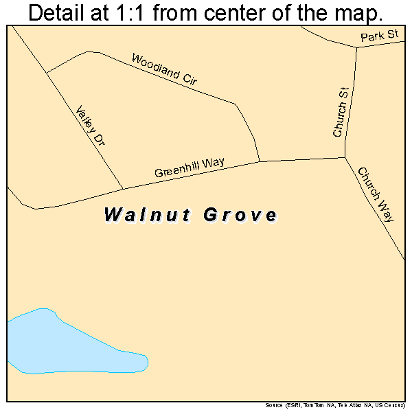 Walnut Grove, Georgia road map detail