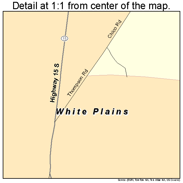White Plains, Georgia road map detail