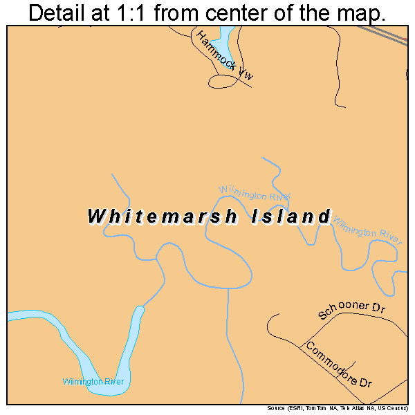 Whitemarsh Island, Georgia road map detail