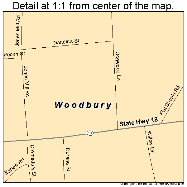 Woodbury, Georgia road map detail
