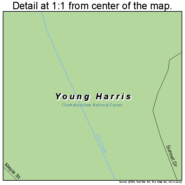 Young Harris, Georgia road map detail