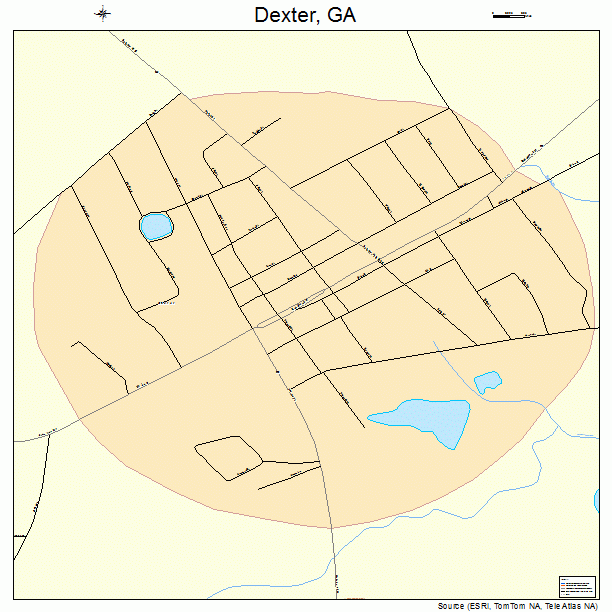 Dexter, GA street map