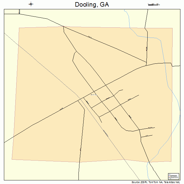 Dooling, GA street map