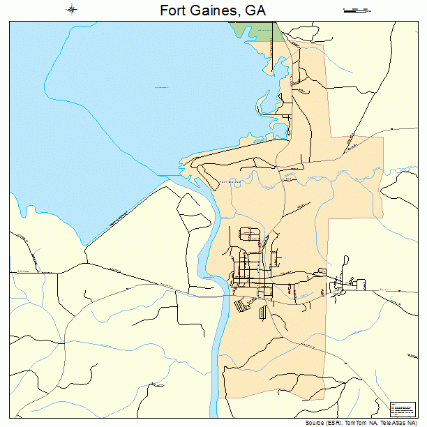 Fort Gaines, GA street map