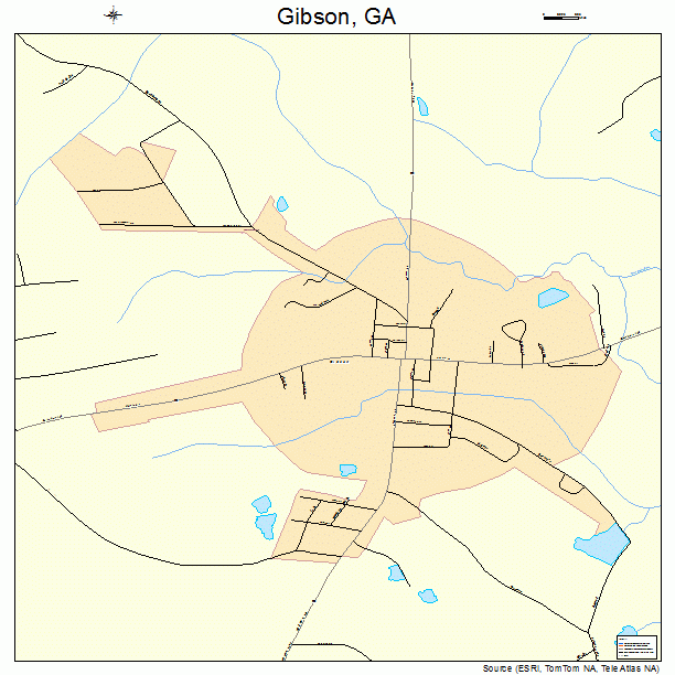 Gibson, GA street map