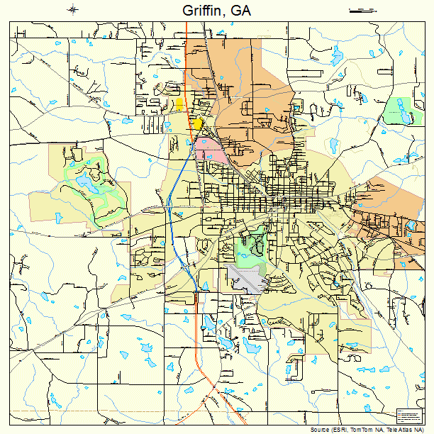 Griffin Georgia Street Map 1335324