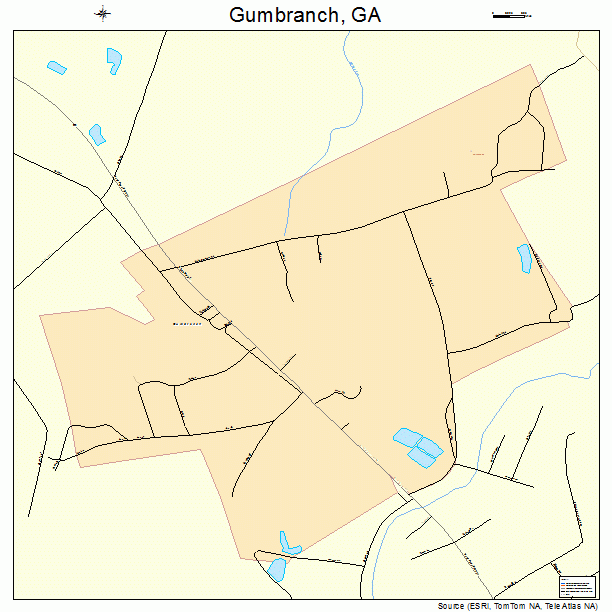 Gumbranch, GA street map