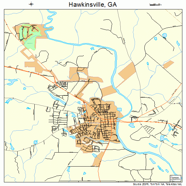 Hawkinsville, GA street map