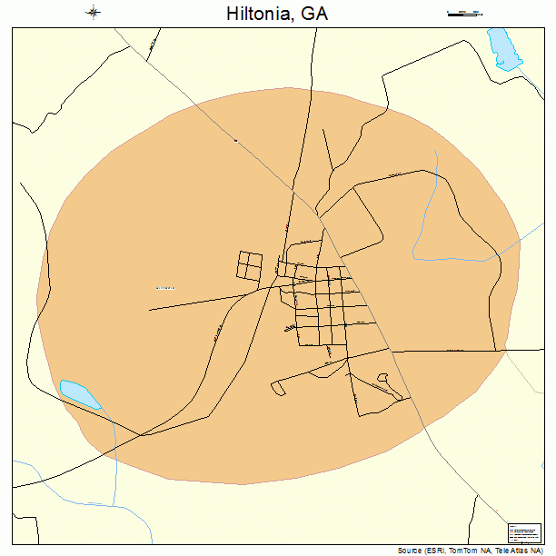 Hiltonia, GA street map