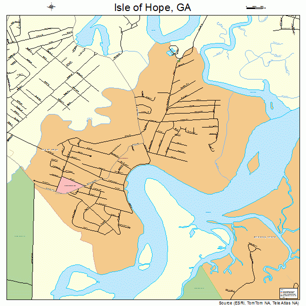Isle of Hope Georgia Street Map 1341484