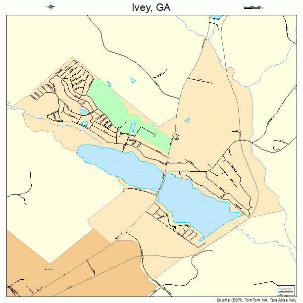 Ivey, GA street map