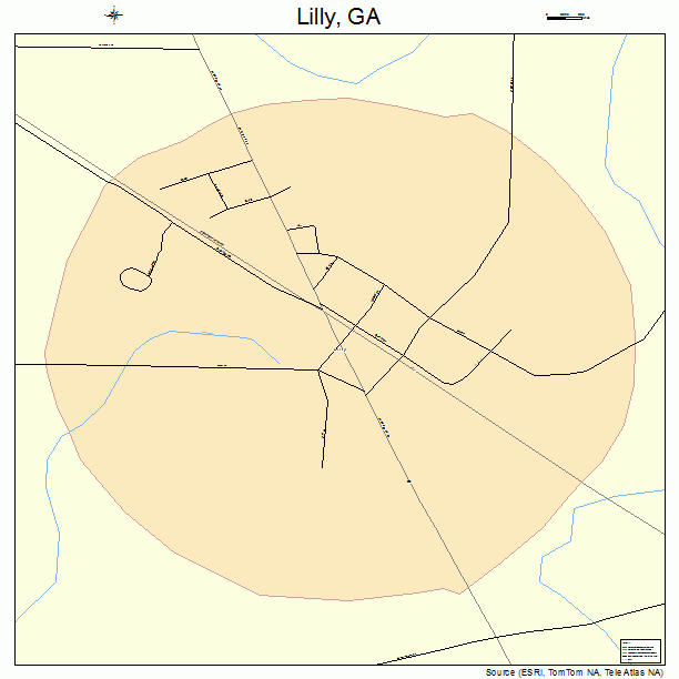 Lilly, GA street map