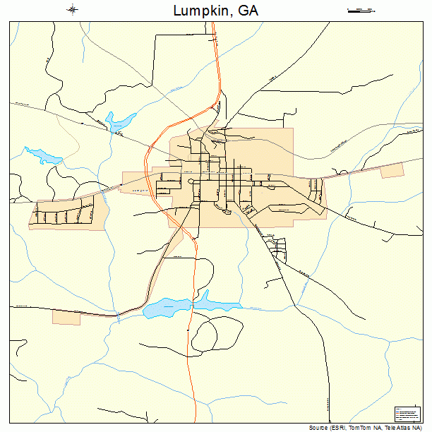 Lumpkin, GA street map
