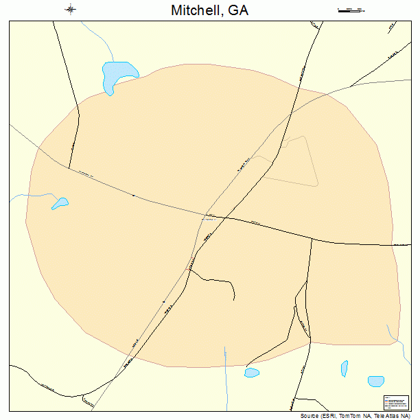 Mitchell, GA street map