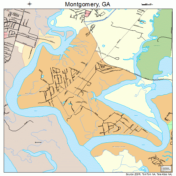 Montgomery, GA street map