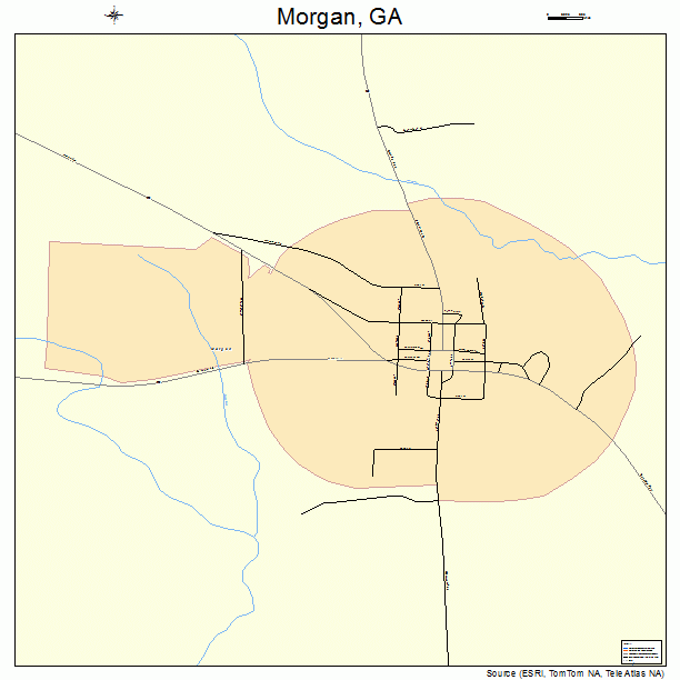 Morgan, GA street map