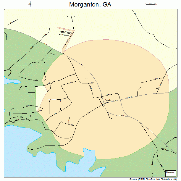 Morganton, GA street map